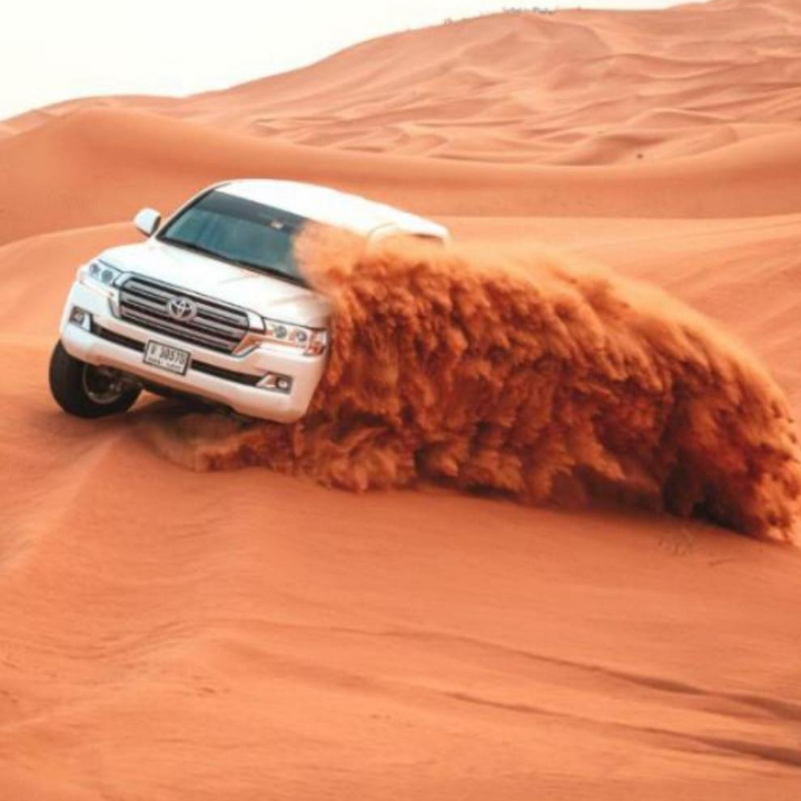 Desert Safari